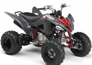 Yamaha YFM250R Yamaha YFM250R